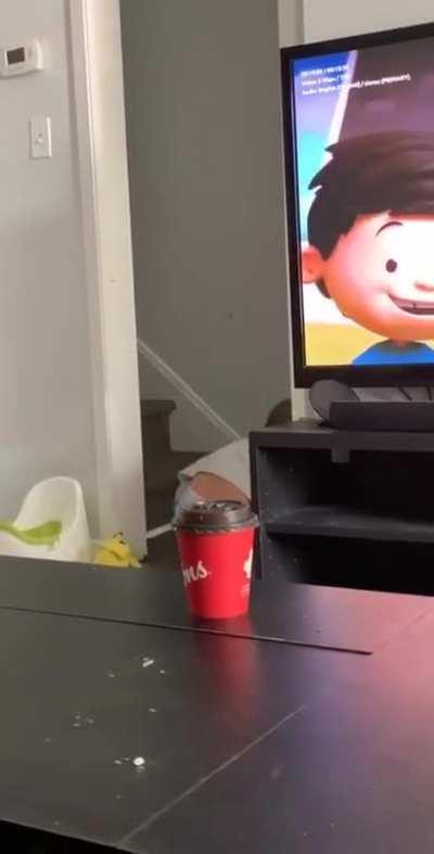 Redbull gives you wiiiiiiings!