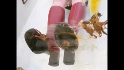 Underglass very Rare old Video