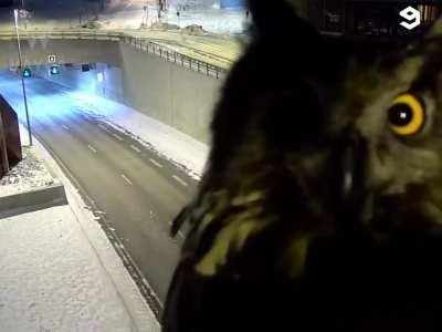 And the spying continues