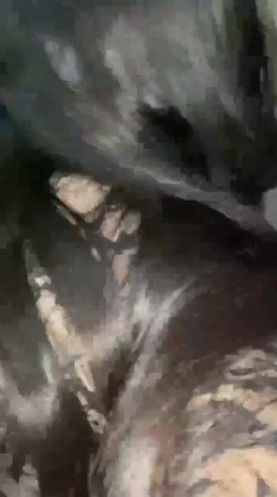 Mask Girl aditi || NEW VIDEO || nsfw