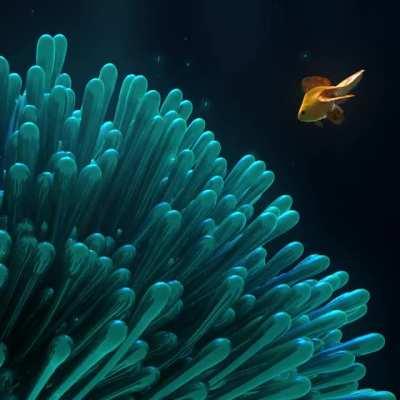 [OC] Anemone in Blue | Vellum hair + cloth | Redshift