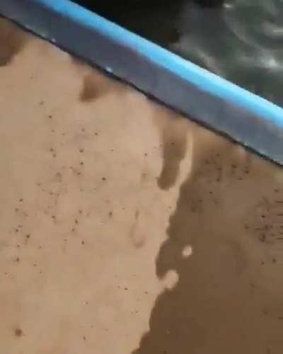 o findi foi tranquilo? foi sim de boa