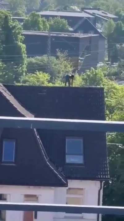 A man in Germany climbs on top of a building and begins tearing its roof apart