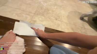 Cinna cleaning the floors- February 2026