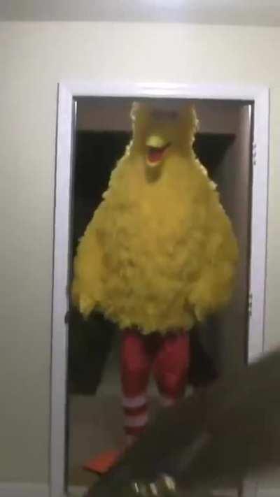 Random meme I made instead of being productive