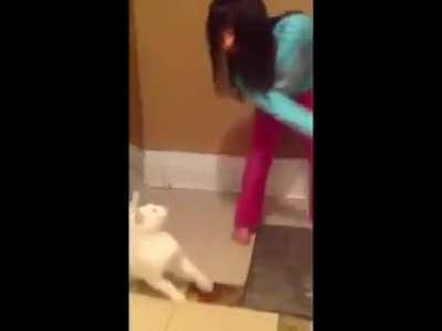 Hahaha, stupid cat! I'm better than you!