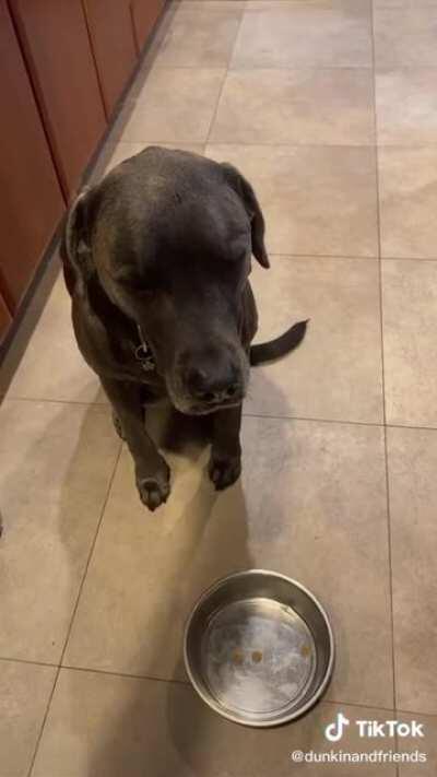 Мой голод - твои проблемы