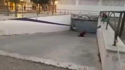 WCGW roller-blading for the 1st time?