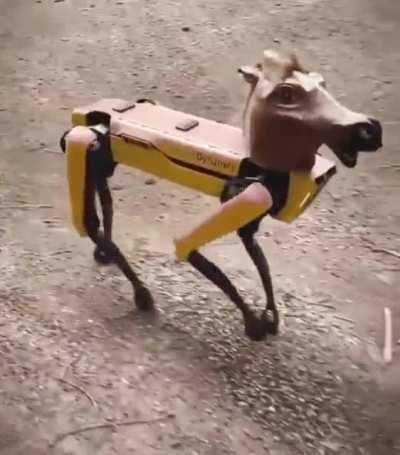 Oh no! Spot just turned into a horse!