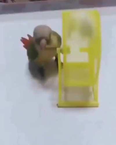 К Альфа Центавре!