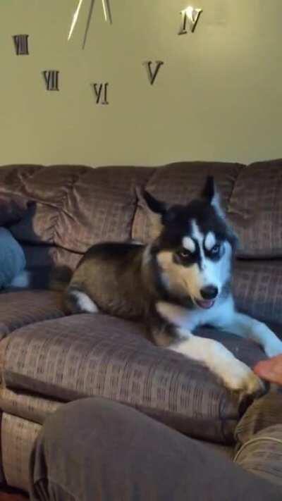 Just your average tantrum for no reason