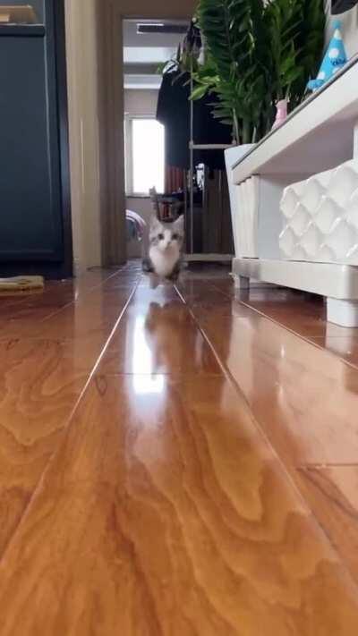 Look out, here I come