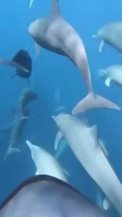 sent shivers down my spine