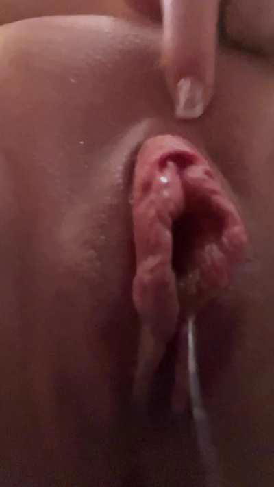 A porn GIF by bigtitlover1193