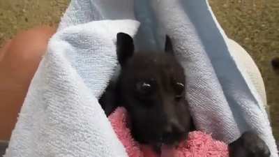 He does NOT want to go home