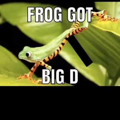 Frog 🐸 got 📥big⬆️ D 🍆