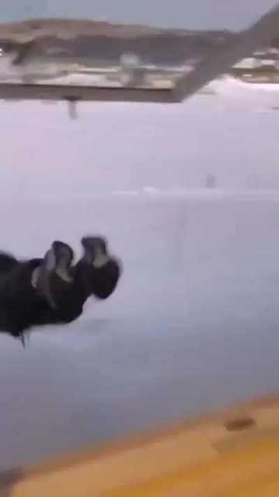 WCGW when trying to fly