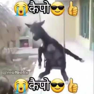 When դու իսկապես թարգմանում ես սա But գիտեի՞ք, որ գեյ եք