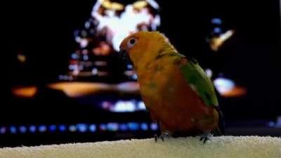 This needs to be here too