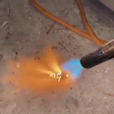 Playing with a cockroach