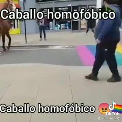 Caballo anti 🏳️‍🌈