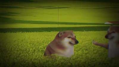 So I found this video on a Vietnamese FB page and I think it's kinda... interesting