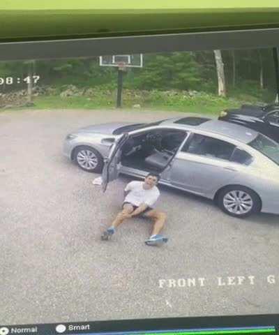 How dare you trick me hooman !! Here i come