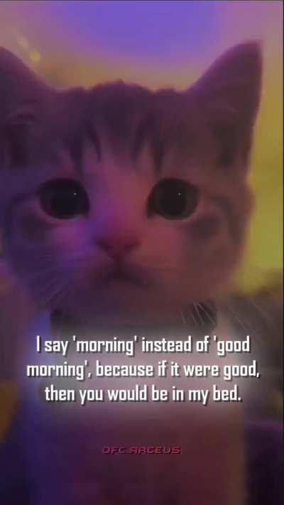 This car got rizzz!!!!