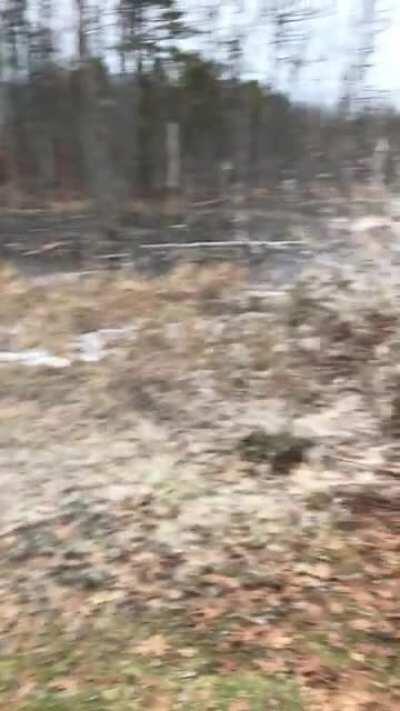 Awww lil bit got in muh mouf