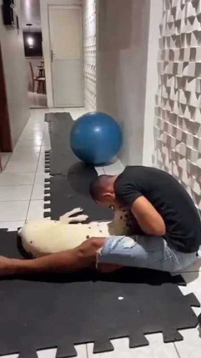 Meet Alvin. Alvin had a stroke 2 years ago. He still can't get up or walk on his own. But he is making good progress (not OC) 😭 💜