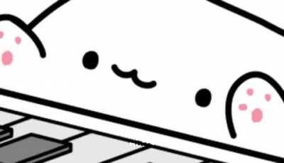 Gatos....Não questiono.