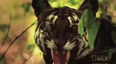 Your soul is slutty 8=>