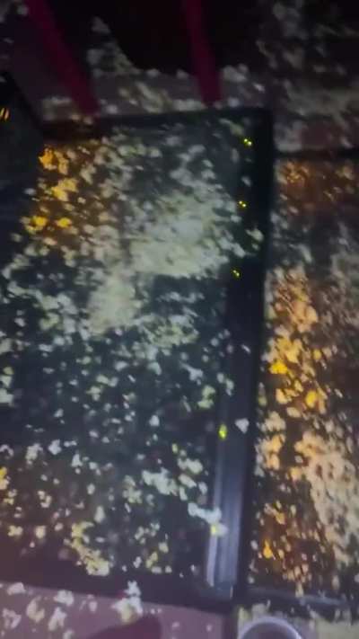 Jonkler made everyone stupid. Are you stupid?