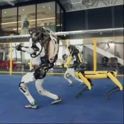 me mandaram no discord e eu achei engraçado..............