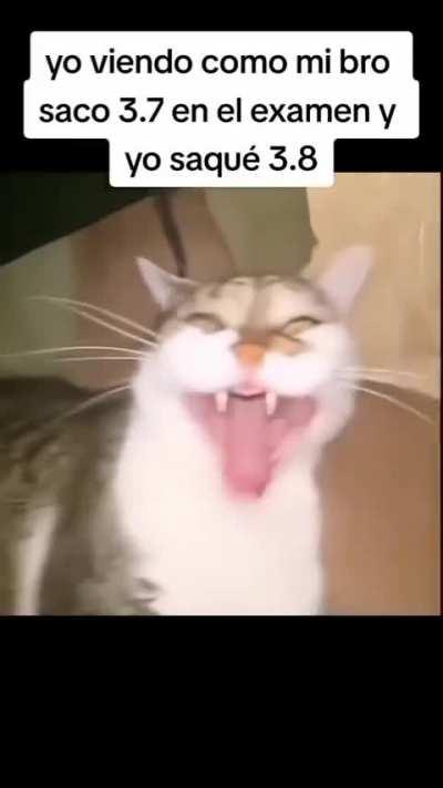 BeelcitosMemes - Video #3016