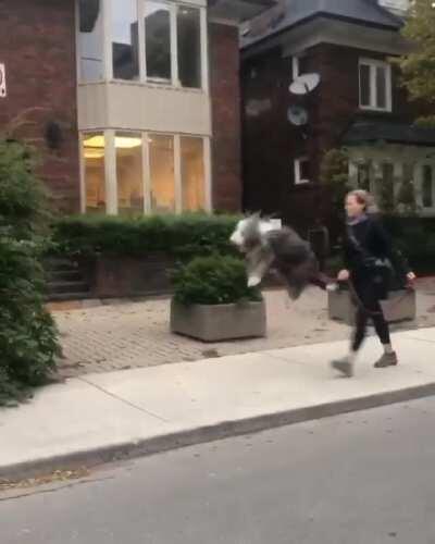 Oh Boy, We're Walking!