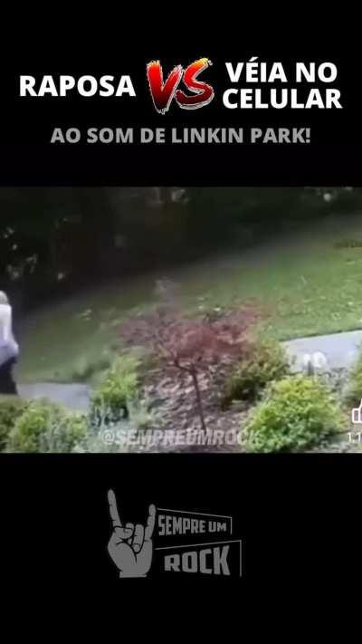 Tudo fica muito bom com link park