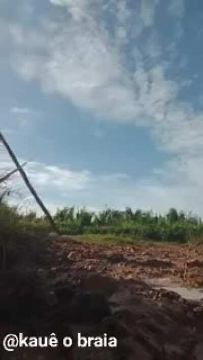 Tarzan 2 em breve nos cinemas