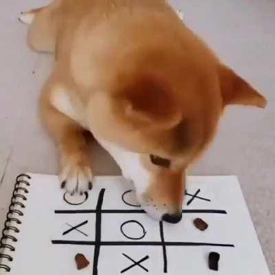 dOgGo Is FoRcEd To EaT tReAtS wHiLe PlAyInG tIc TaC tOe