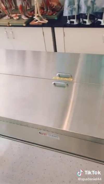 [Attack On Titan Theme plays]