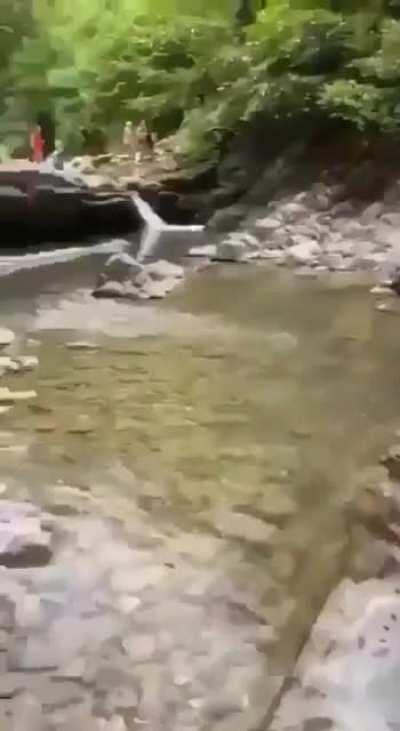 Rule #1 don't drink water near the base of the river.