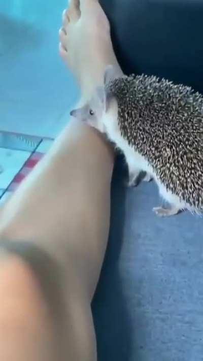 Peace was never an option