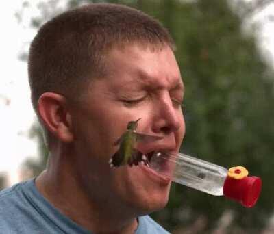 Hummingbird goes "U WOT M8" to a man offering nectar.