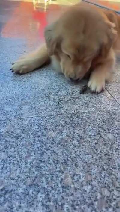 A tale of two friends... a short tale.