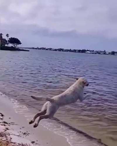 when he came to the sea for the first time in a year