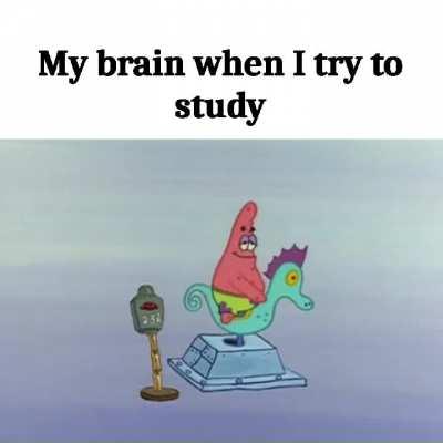 [Insert Monkey Clap Meme here]