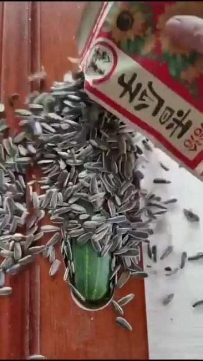 I'm 15 and this is yeet