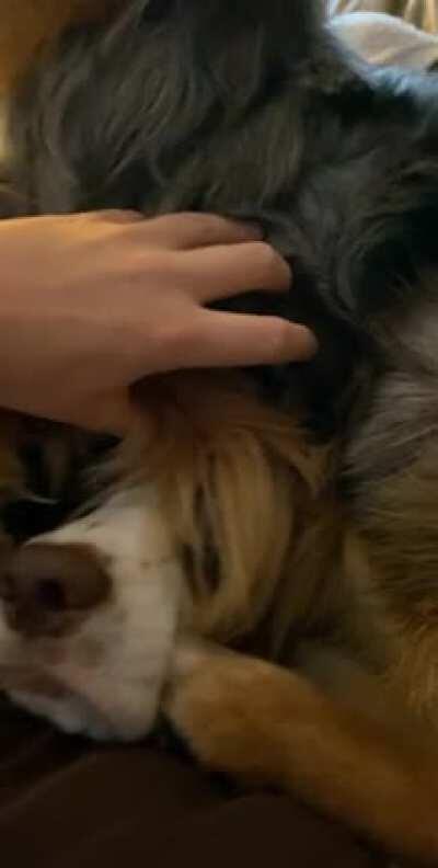 “What? He wouldn’t get out of my spot”