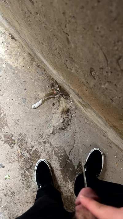 Stepping out of the rain