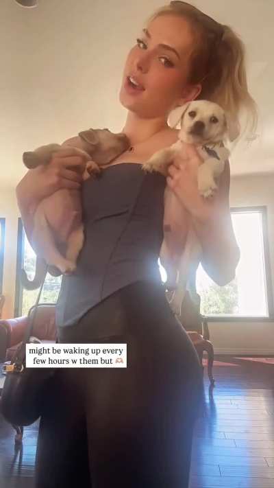 Dog Show via IG Story 4/9/25